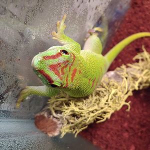 Meet your Posher, Jacob